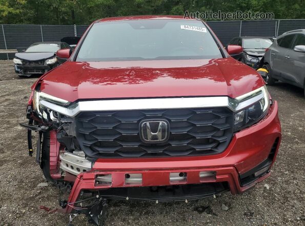 5FNYF8H55RB021988 2024 HONDA PASSPORT Красный Вид спереди