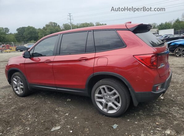5FNYF8H55RB021988 2024 HONDA PASSPORT Красный Задняя левая четверть