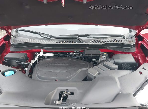 5FPYK3F83SB044954 2025 HONDA RIDGELINE Красный Вид сзади