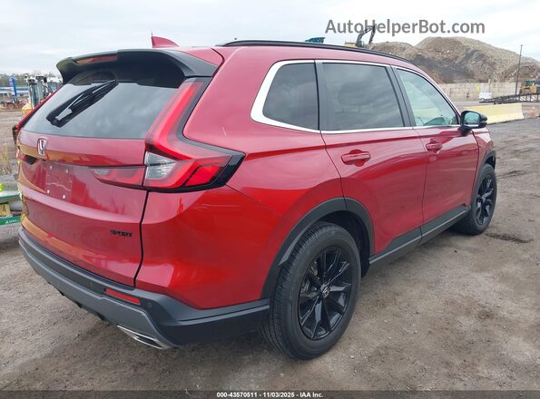 5J6RS6H80RL018308 2024 HONDA CR-V HYBRID Красный Задняя правая четверть