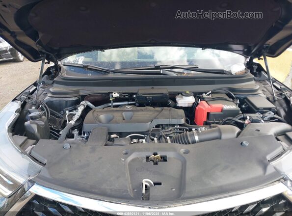 5J8TC2H39RL038824 2024 ACURA RDX Черный Вид сзади