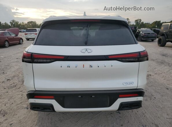 5N1AL1FR0SC348451 2025 INFINITI QX60 Белый Вид сзади