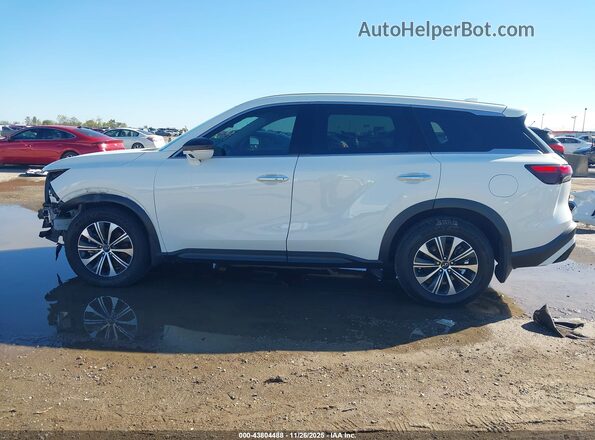5N1DL1ER1RC344725 2024 INFINITI QX60 Белый 