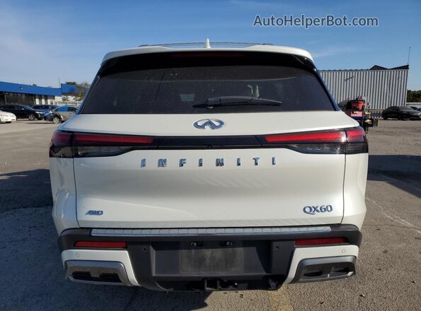 5N1DL1GS7PC365737 2023 INFINITI QX60 Белый Вид сзади