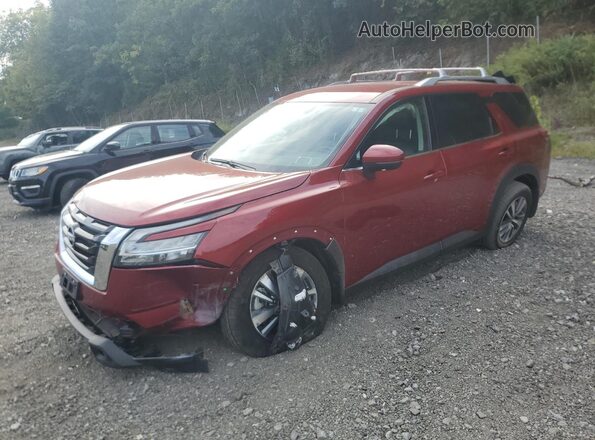 5N1DR3CC6RC297331 2024 NISSAN PATHFINDER Красный Передняя левая четверть