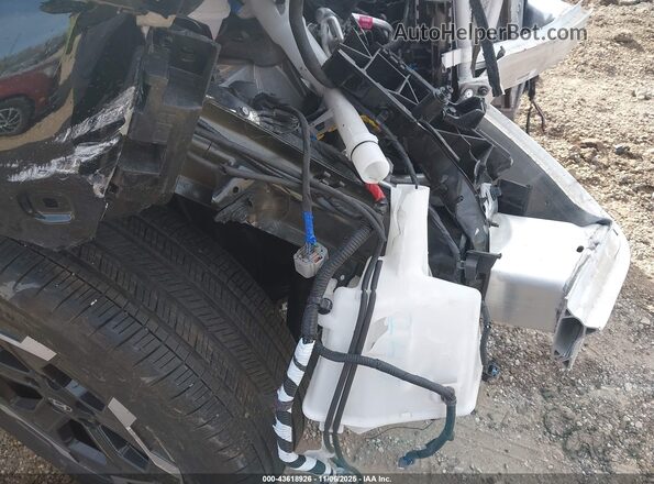 5NMP2DGL5SH071035 2025 HYUNDAI SANTA FE Черный 