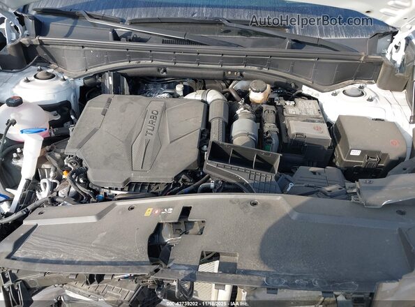 5NMP54GL2SH079567 2025 HYUNDAI SANTA FE CALLIGRAPHY White Вид ззаду