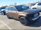 2025 Hyundai Santa Fe Calligraphy Brown vin: 5NMP54GL8SH094381
