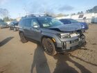 2025 Hyundai Santa Fe Calligraphy Gray vin: 5NMP5DGL1SH099079