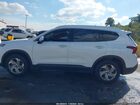 2023 Hyundai Santa Fe Sel White vin: 5NMS24AJ0PH528486