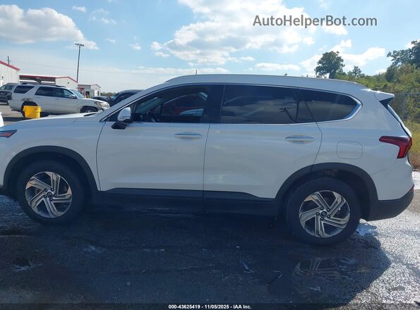 5NMS24AJ0PH528486 2023 HYUNDAI SANTA FE White Սալոնի 360 աստիճան տեսք
