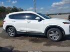 2023 Hyundai Santa Fe Sel White vin: 5NMS24AJ0PH528486