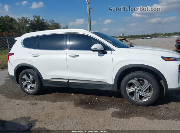5NMS24AJ0PH528486 2023 HYUNDAI SANTA FE White Սալոնի հետևի տեսք