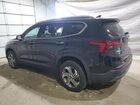 2023 Hyundai Santa Fe Sel Black vin: 5NMS2DAJ5PH560494