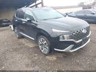 2023 Hyundai Santa Fe Calligraphy Black vin: 5NMS5DAL0PH649396