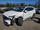 2023 Hyundai Santa Fe Calligraphy White vin: 5NMS5DAL6PH520255