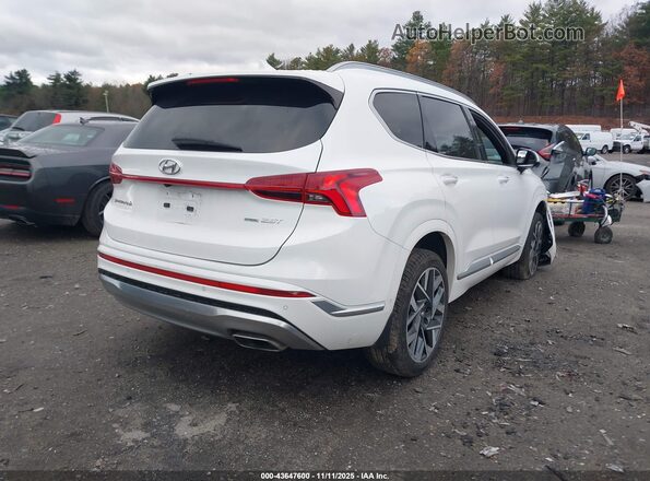 5NMS5DAL9PH559809 2023 HYUNDAI SANTA FE CALLIGRAPHY White უკანა მარჯვენა