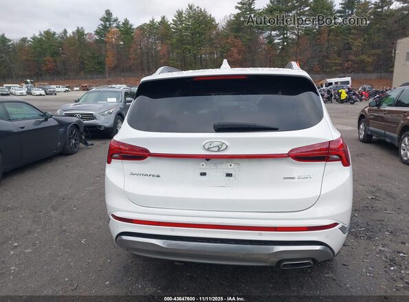 5NMS5DAL9PH559809 2023 HYUNDAI SANTA FE CALLIGRAPHY White 