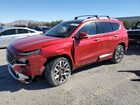 2023 Hyundai Santa Fe Calligraphy Red vin: 5NMS5DAL9PH570325