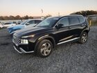 2021 Hyundai Santa Fe Sel Black vin: 5NMS64AJ9MH344101