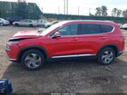 2022 Hyundai Santa Fe Sel Красный vin: 5NMS6DAJ8NH428038
