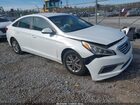 5NPE24AF5GH387071