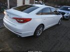 2016 Hyundai Sonata Se Белый vin: 5NPE24AF6GH314985