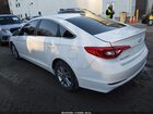 2016 Hyundai Sonata Se Белый vin: 5NPE24AF6GH314985