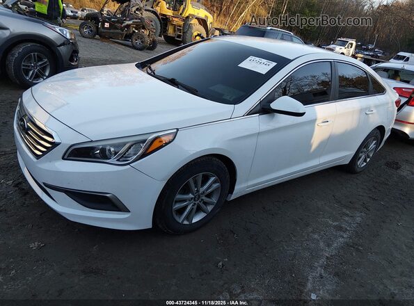 5NPE24AF6GH314985 2016 HYUNDAI SONATA Белый Передняя левая четверть