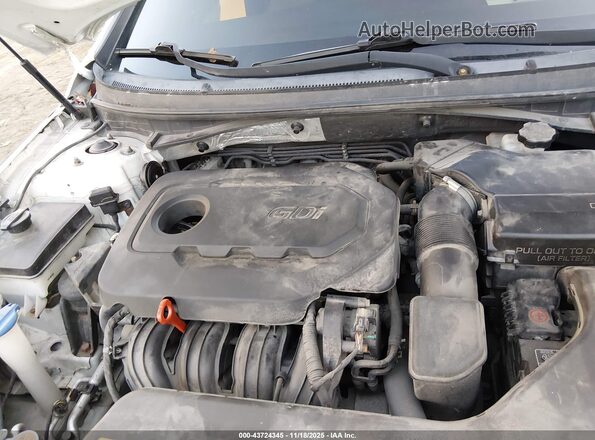 5NPE24AF6GH314985 2016 HYUNDAI SONATA Белый Вид сзади