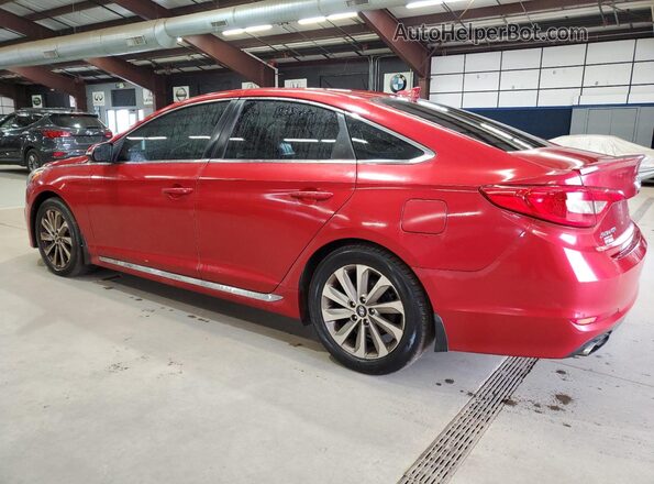 5NPE34AF4HH552655 2017 HYUNDAI SONATA Красный Задняя левая четверть