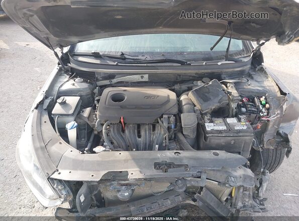 5NPE34AF5KH791963 2019 HYUNDAI SONATA Gray Widok z tyłu