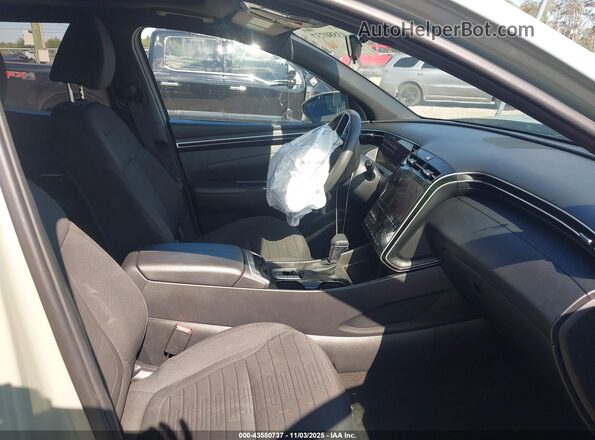 5NTJC4AE8RH094658 2024 HYUNDAI SANTA CRUZ Green Vista interior delantera