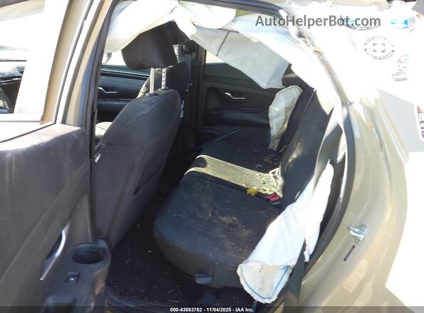5NTJC4DE5RH110830 2024 HYUNDAI SANTA CRUZ Tan Widok naklejki z numerem VIN