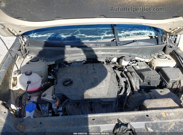 5NTJC4DE5RH110830 2024 HYUNDAI SANTA CRUZ Tan Widok z tyłu