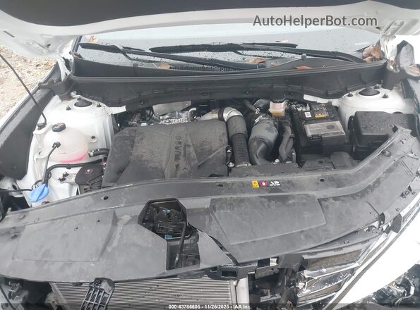 5NTJDDDF5RH119503 2024 HYUNDAI SANTA CRUZ White Vista trasera