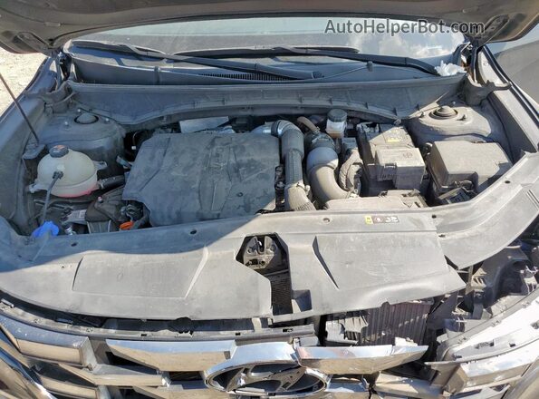 5NTJEDAF4PH061754 2023 HYUNDAI SANTA Black Widok wnętrza z tyłu