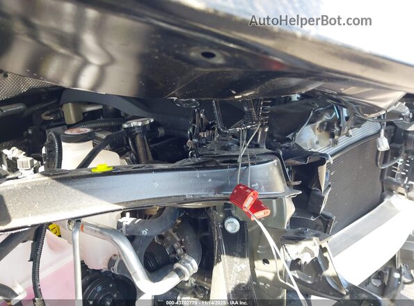 5TDAAAA62SS016064 2025 LEXUS TX 350 Gray Widok z tyłu
