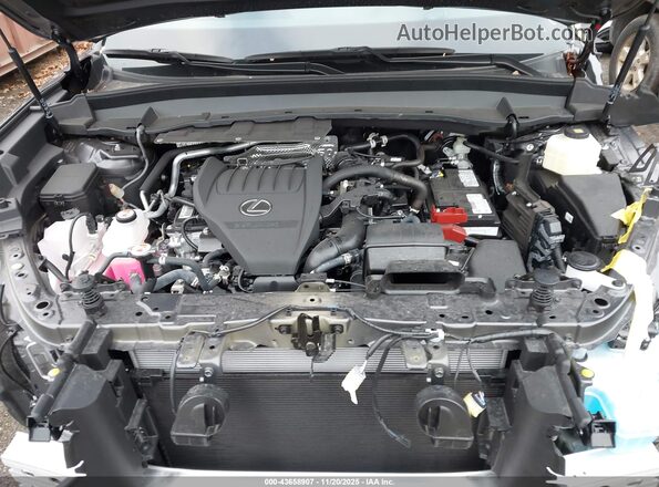 5TDAAAB65SS030314 2025 LEXUS TX 350 Gray Widok z tyłu