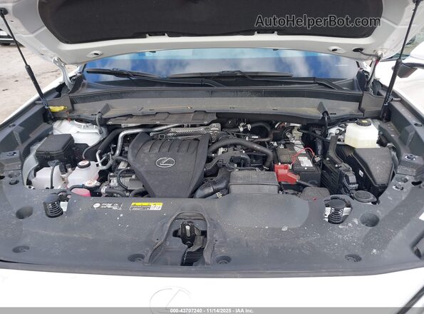 5TDAAAB69RS019990 2024 LEXUS TX 350 Белый Вид сзади