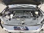 2025 Lexus Tx 350 Base Blue vin: 5TDAAAB69SS024418