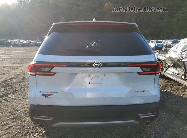 5TDADAB51SS014674 2025 TOYOTA LIMITED White Вид ззаду