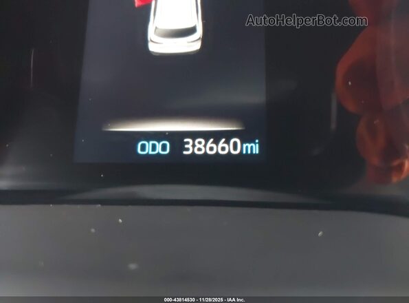 5TDCSKFC2PS100984 2023 TOYOTA SIENNA Серый 