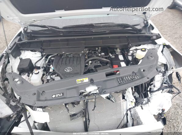 5TDKDRBHXSS594472 2025 TOYOTA HIGHLANDER Белый Вид сзади