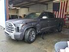 2023 Toyota Tundra Crewmax Platinum Black vin: 5TFMA5AB0PX025879