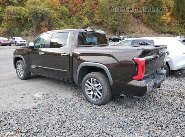 5TFMA5DB5SX271783 2025 TOYOTA TUNDRA Brown Rear left