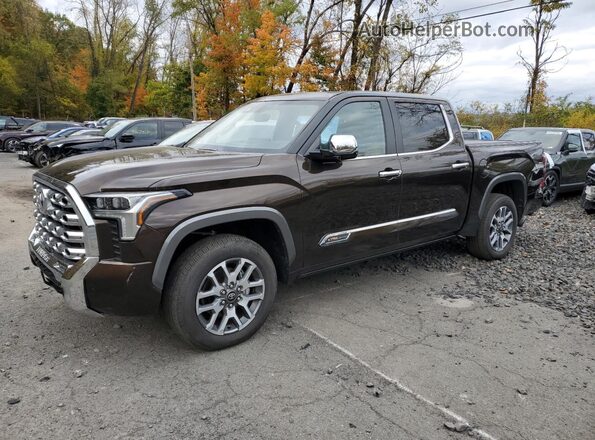 5TFMA5DB5SX271783 2025 TOYOTA TUNDRA Brown Front left
