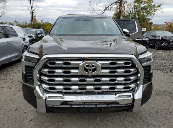 5TFMA5DB5SX271783 2025 TOYOTA TUNDRA Brown Front view