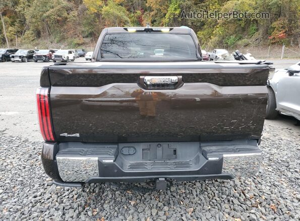 5TFMA5DB5SX271783 2025 TOYOTA TUNDRA Brown Rear view