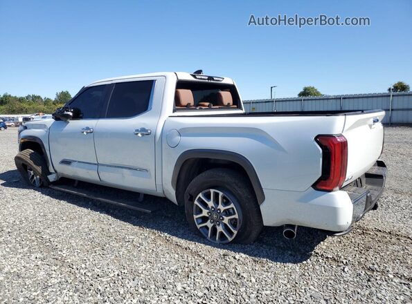 5TFMC5DB7SX108949 2025 TOYOTA TUNDRA White Trasero izquierdo